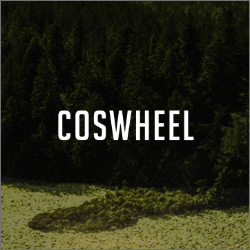 EV Supreme | Explore the range of products from Coswheel Fat Tire ...