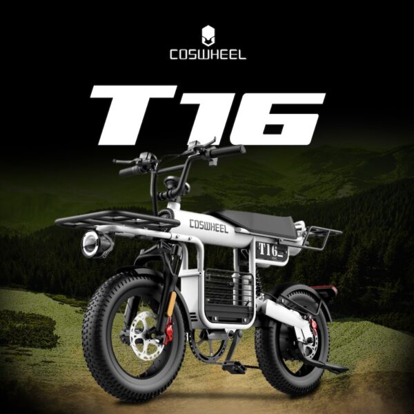 Coswheel T16 16 inch fat tire electric bike